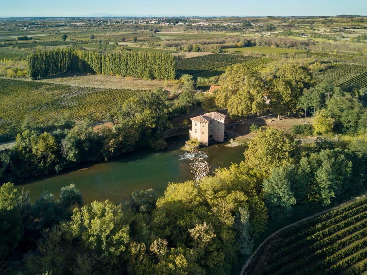 Villa Le Moulin de Pézenas - Pierres d'Histoire Esterno foto